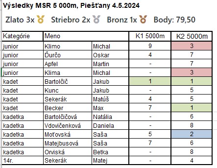 MSR DT 2024